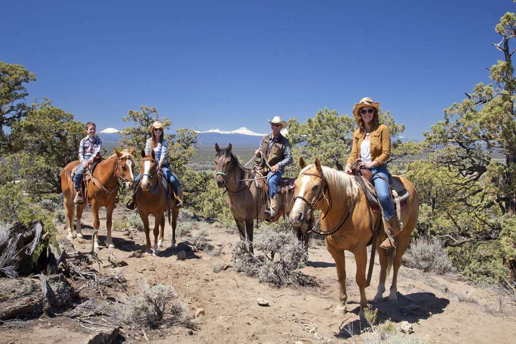 Fess Parker Wine Country Inn Лос-Оливос Номер фото