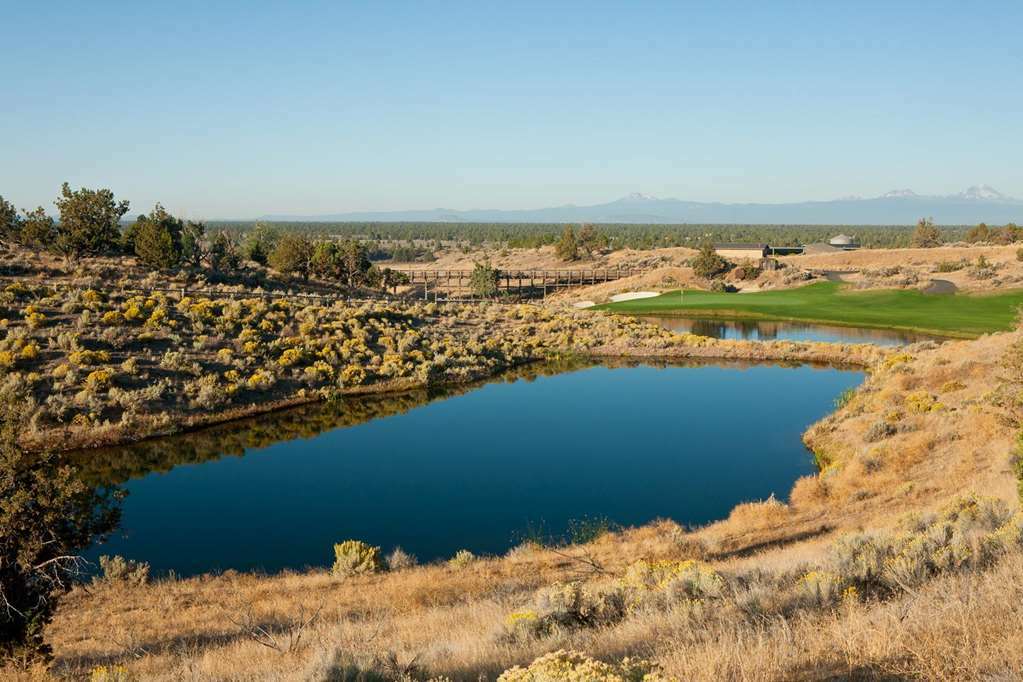 Fess Parker Wine Country Inn Лос-Оливос Номер фото